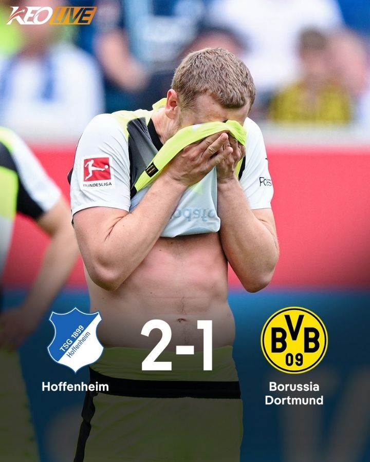 Hoffenheim 2-1 Borussia Dortmund | Keolive