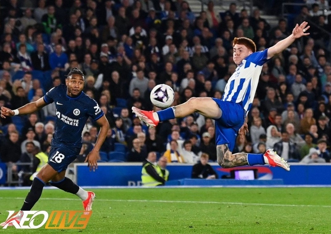 Phong độ 5 trận gần đây Brighton & Hove Albion vs Chelsea | Keolive