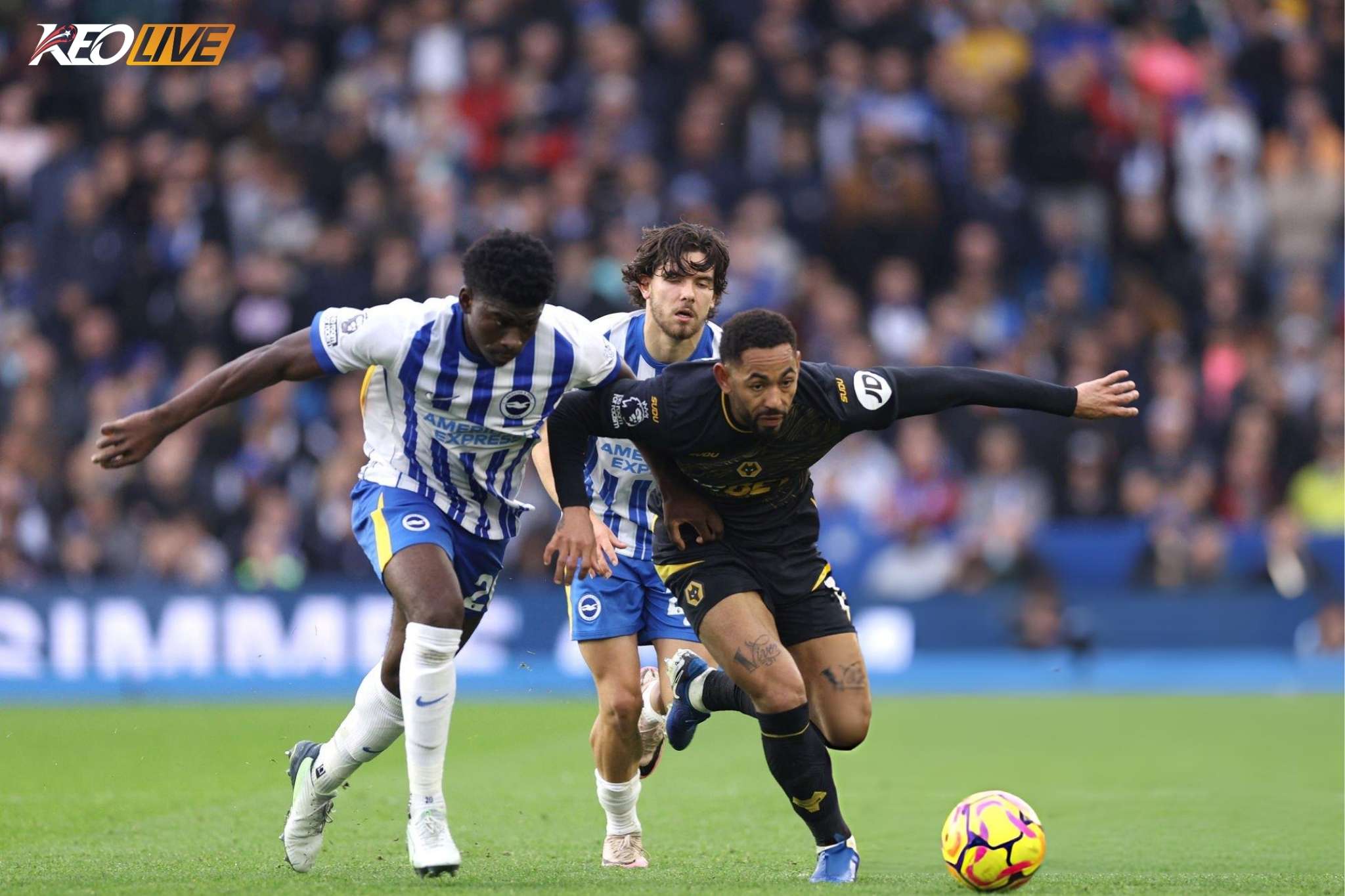 MU muốn đem về bộ đôi của Brighton để nâng cấp đội hình | Keolive