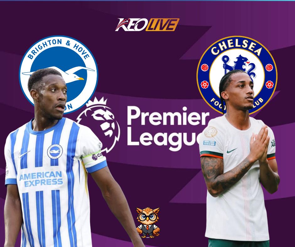 Trận đấu giữa Brighton & Hove Albion vs Chelsea | Keolive