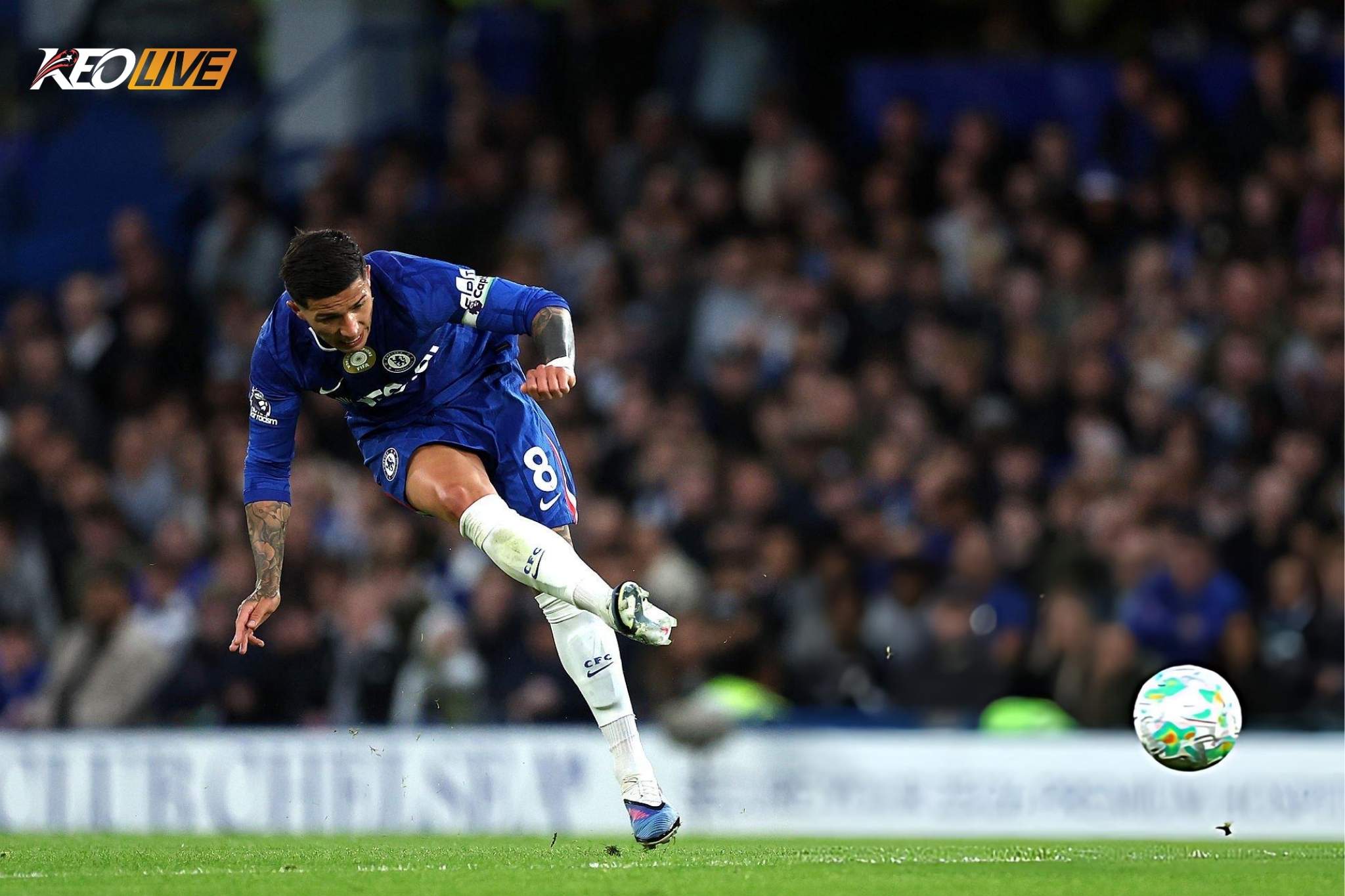 Enzo Fernandes là cầu thủ hiếm hoi của Chelsea duy trì được phong độ tốt | Keolive