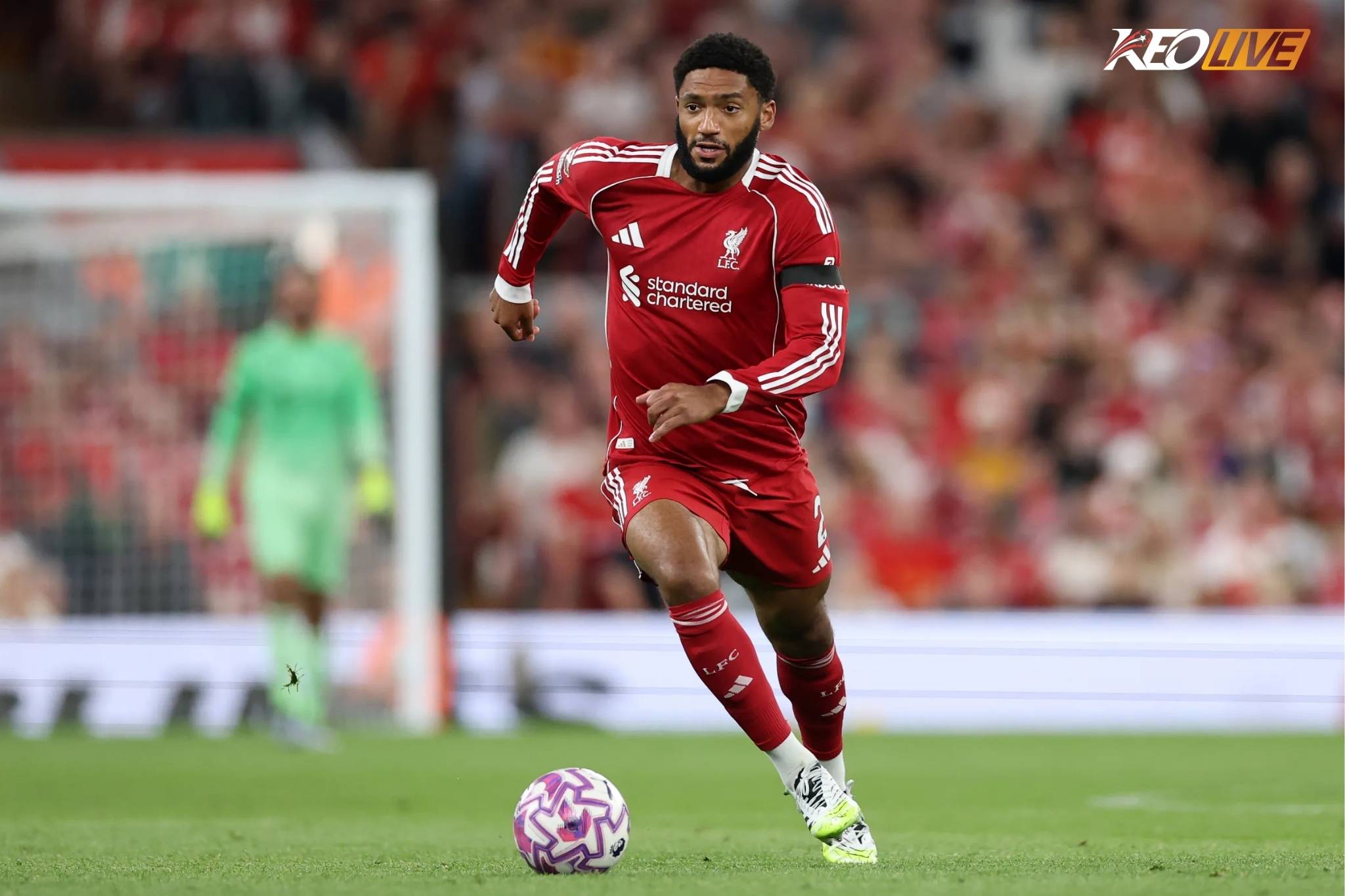 Gomez đã nói lời chia tay với Liverpool sau trận đấu với Brentford | Keolive