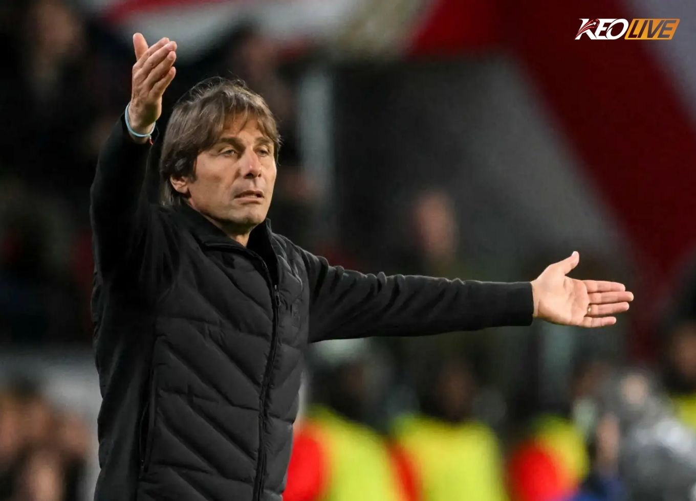 conte | Keolive