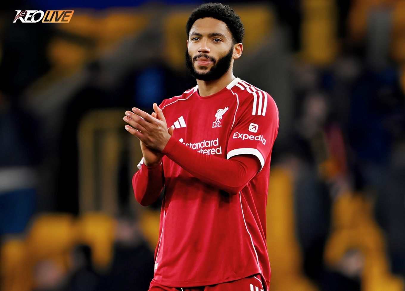 joe gomez | Keolive