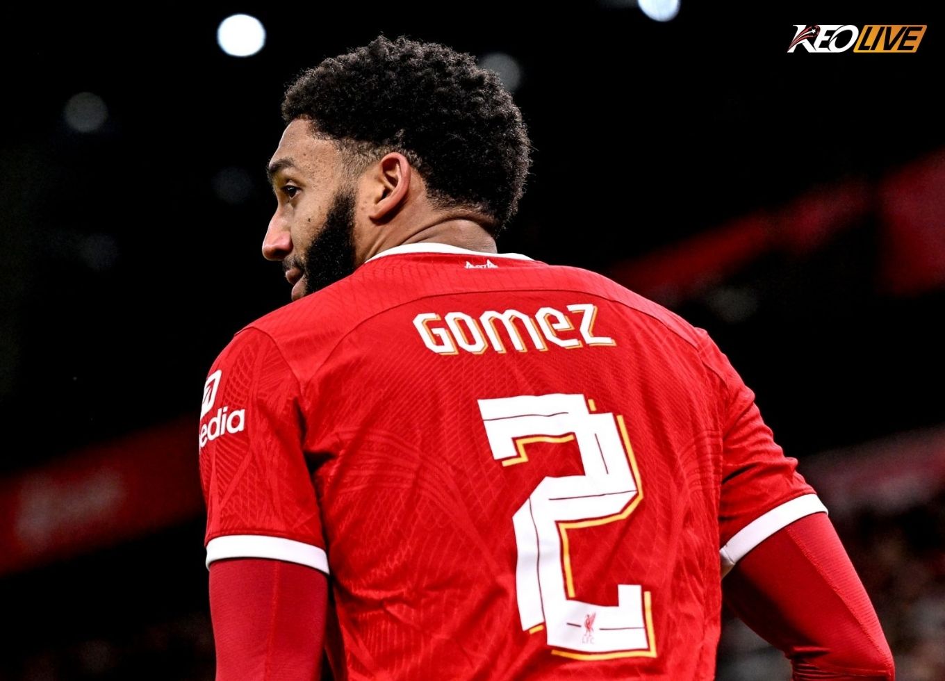 joe gomez | Keolive