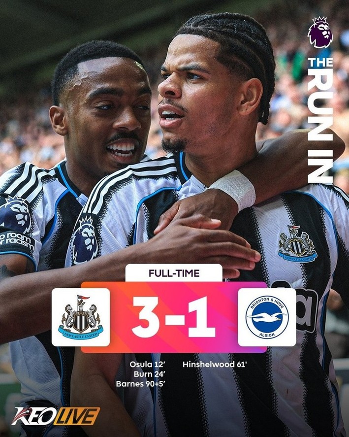 Newcastle 3-1 Brighton | Keolive
