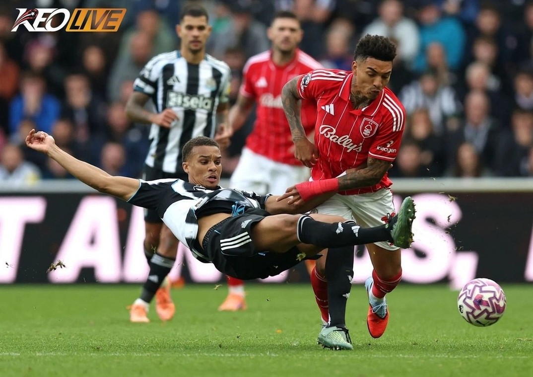 Lần gặp nhau gần nhất giữa Nottingham Forest vs Newcastle | Keolive