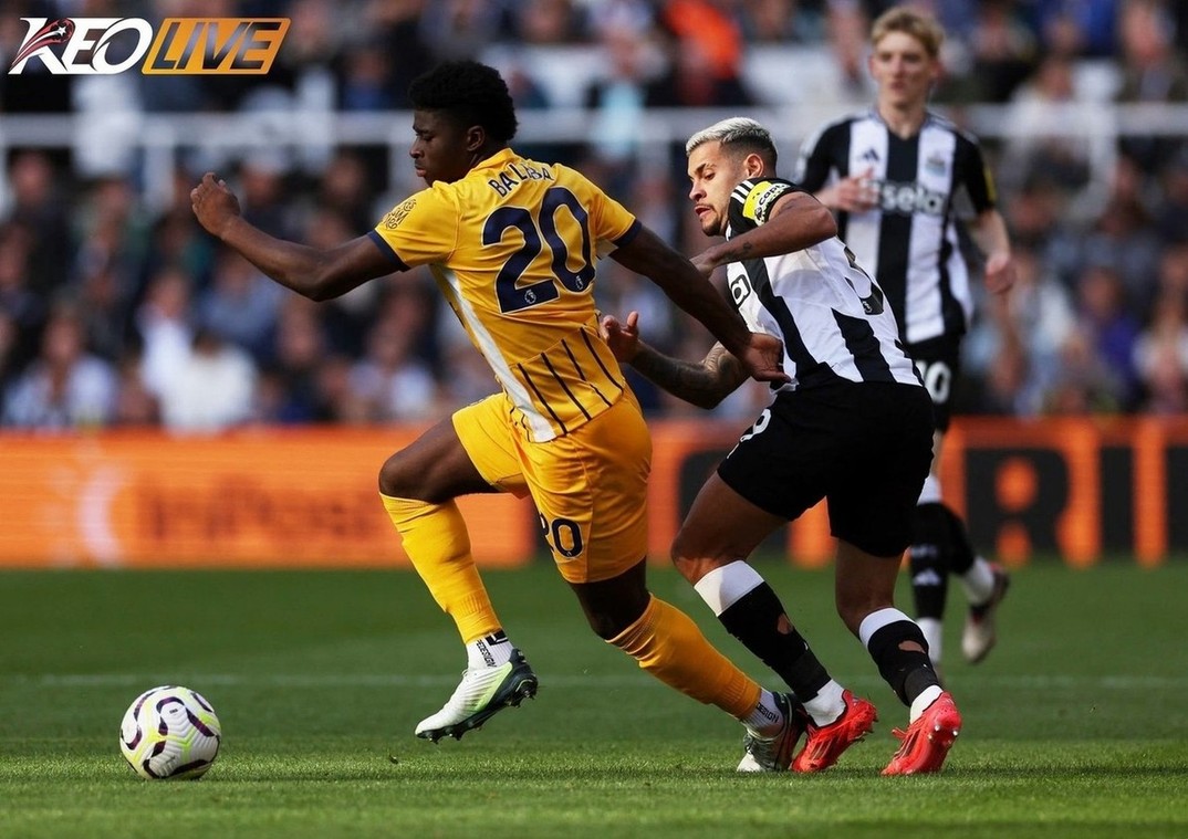 Lần gặp nhau gần nhất giữa Newcastle vs Brighton & Hove Albion | Keolive