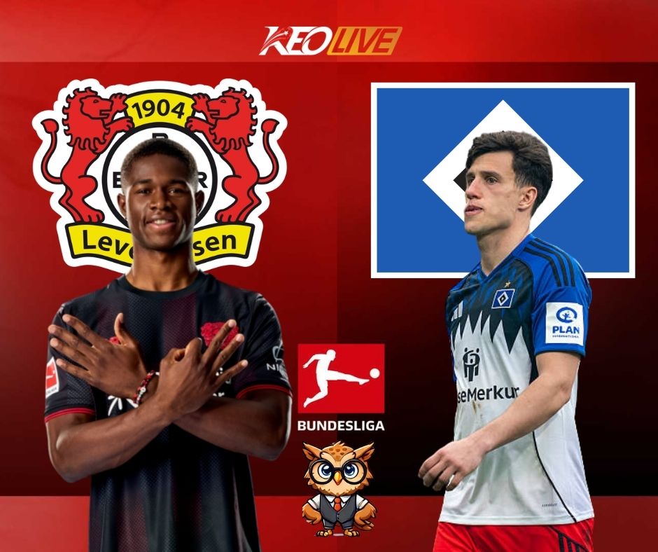 Leverkusen vs Hamburger SV | Keolive