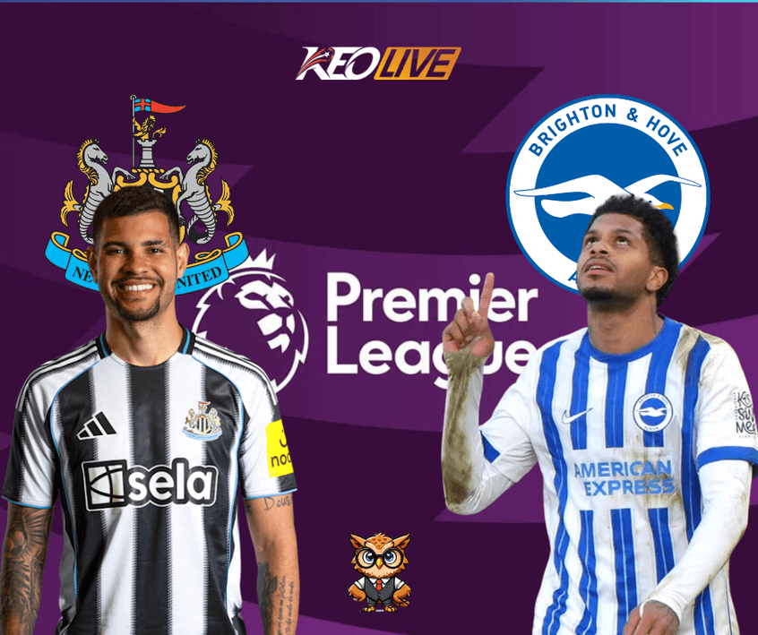 Trận đấu giữa Newcastle vs Brighton & Hove Albion | Keolive