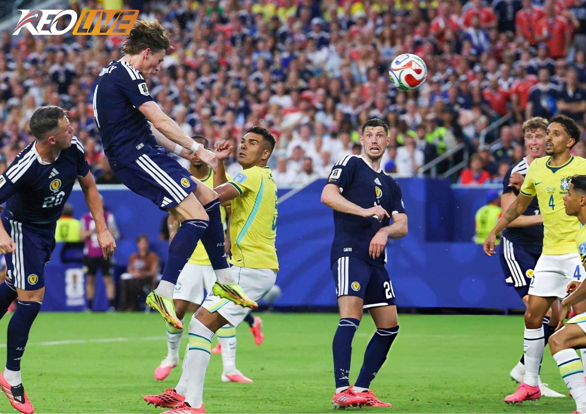 Nỗ lực của McTominey không đủ để giúp Scotland có bàn danh dự | Keolive