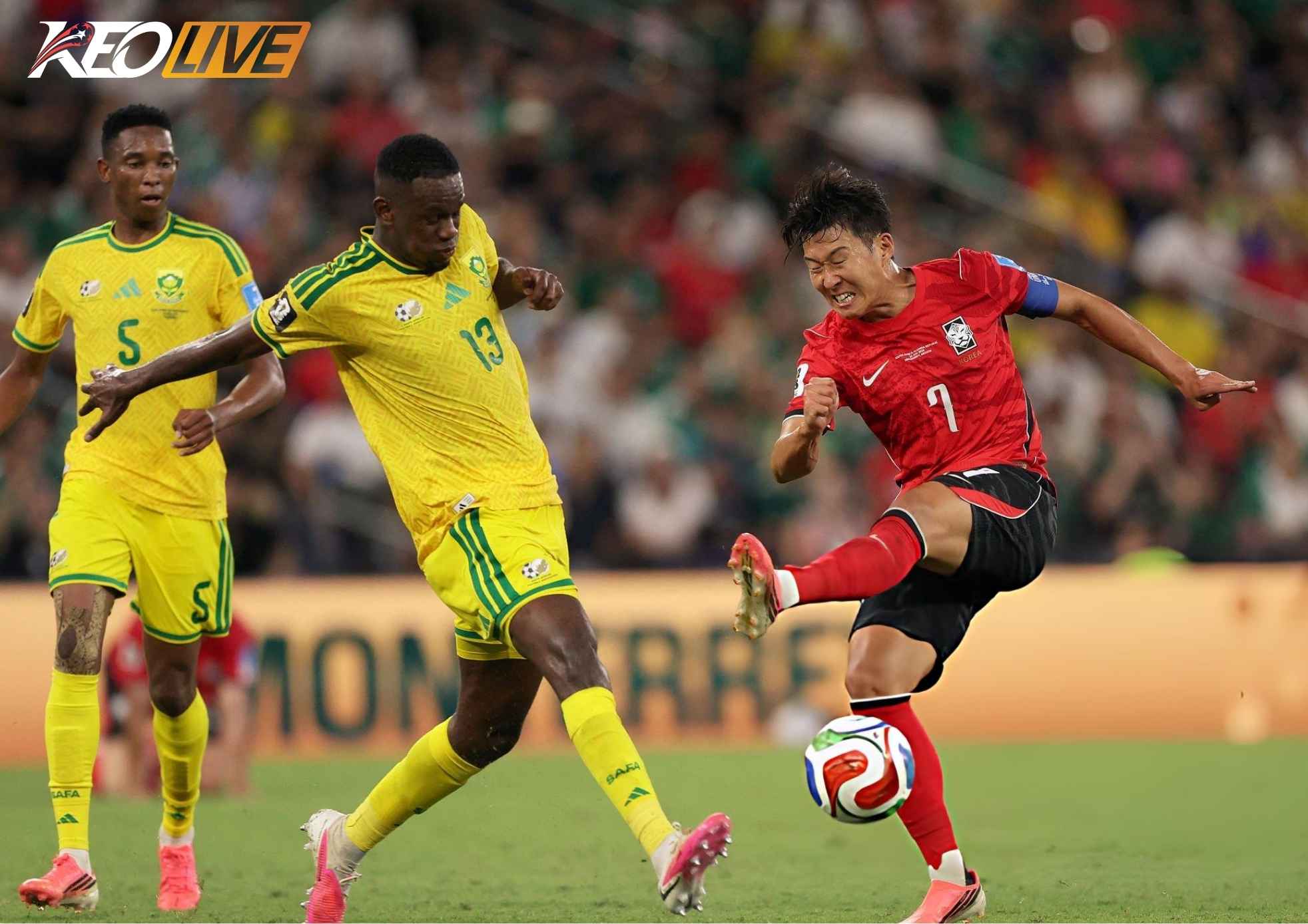 Son Heung Min và các đồng đội chỉ có thể tự trách mình không tự định đoạt số phận | Keolive