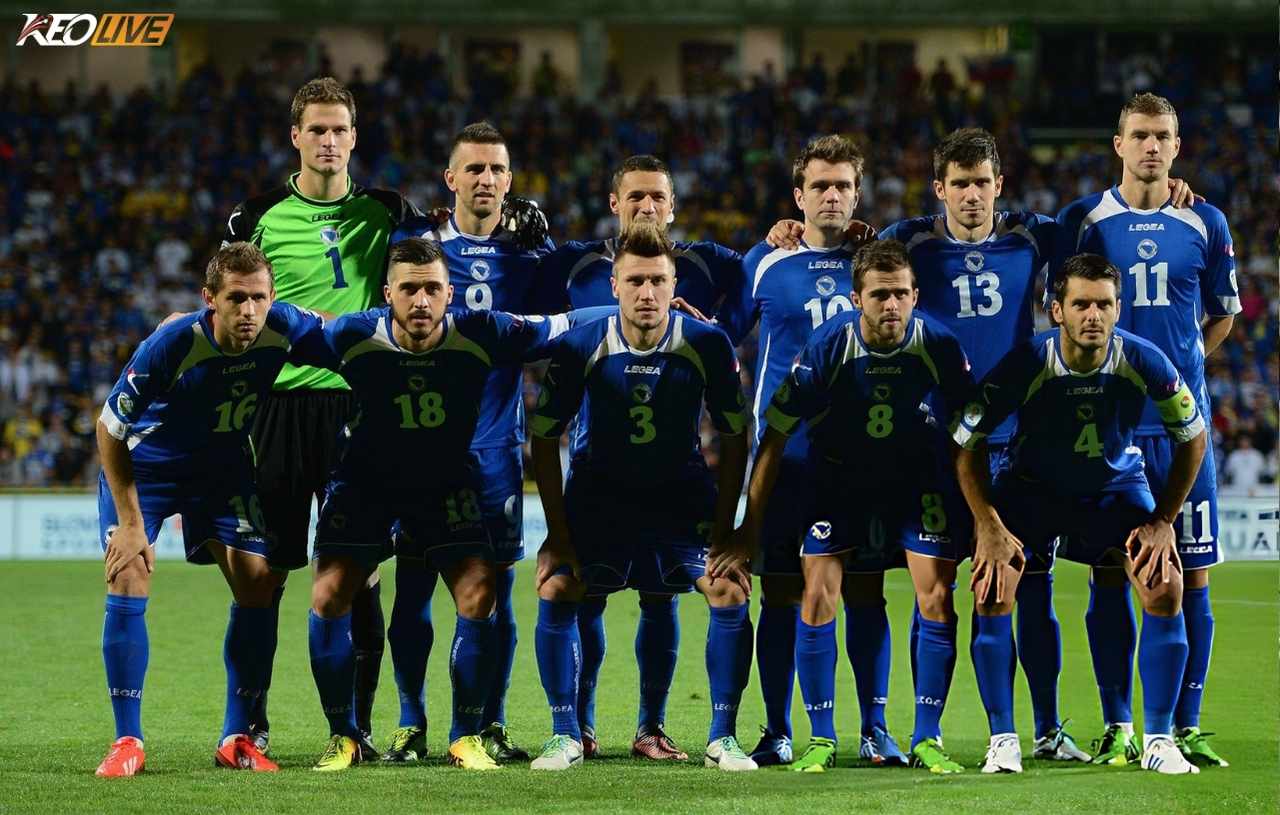 Đội hình Bosnia tại kỳ World Cup duy nhất năm 2014 | Keolive