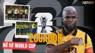 Hình ảnh cho bài Hồ sơ World Cup 2026: Ecuador - ẩn số đến từ Nam Mỹ