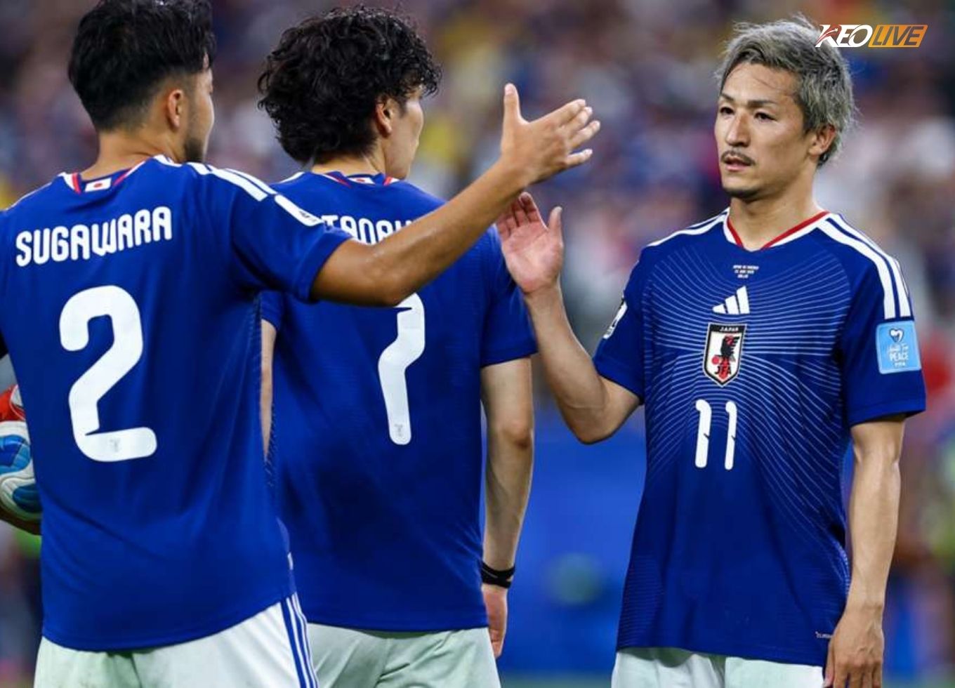 Trận đấu đáng mong đợi giữa Nhật Bản vs Brazil sắp diễn ra | Keolive