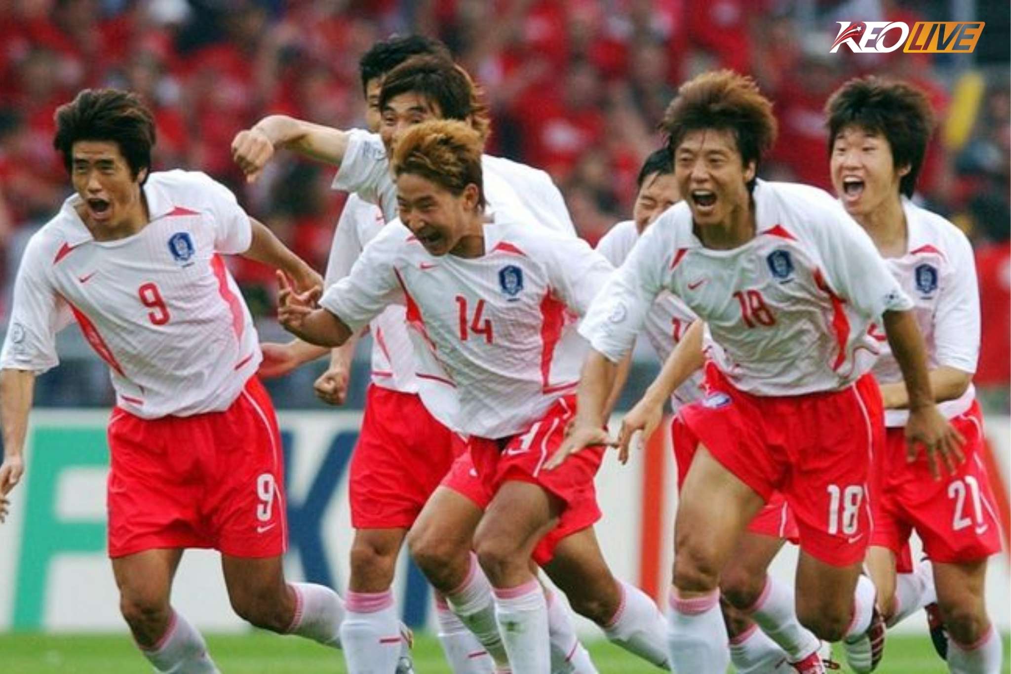 Thế hệ của Park Ji Sung từ đưa Hàn Quốc tới bán kết năm 2002 | Keolive