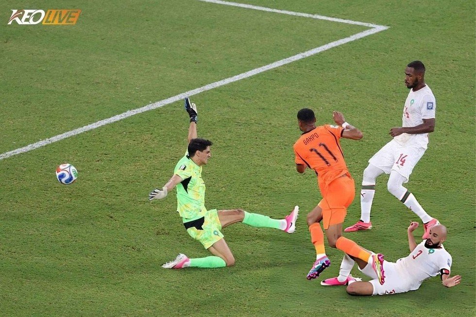 Gakpo ghi bàn đưa Oranje dẫn điểm | Keolive