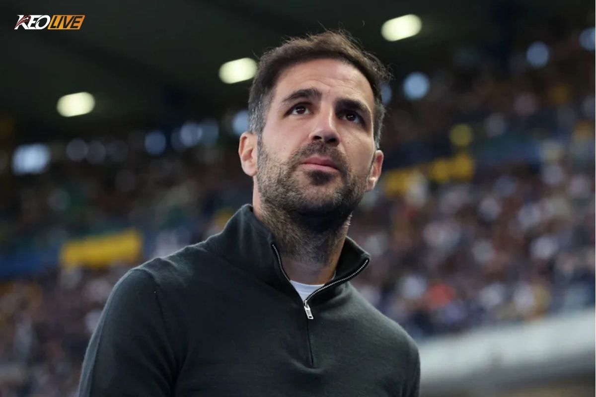 Fabregas dẫn dắt Como vươn xa hơn kỳ vọng | Keolive