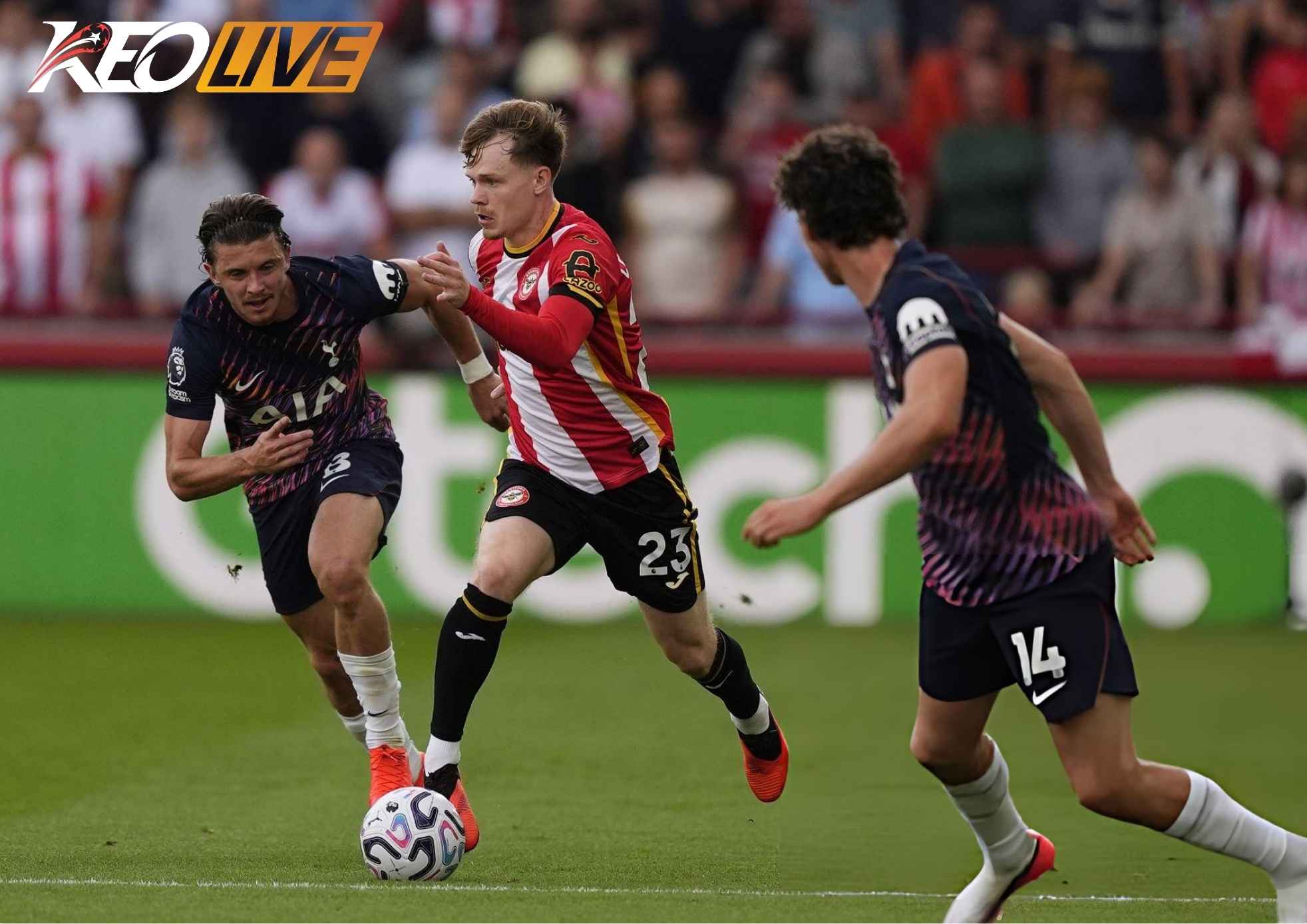 Brentford hoàn toàn trên cơ Tottenham | Keolive