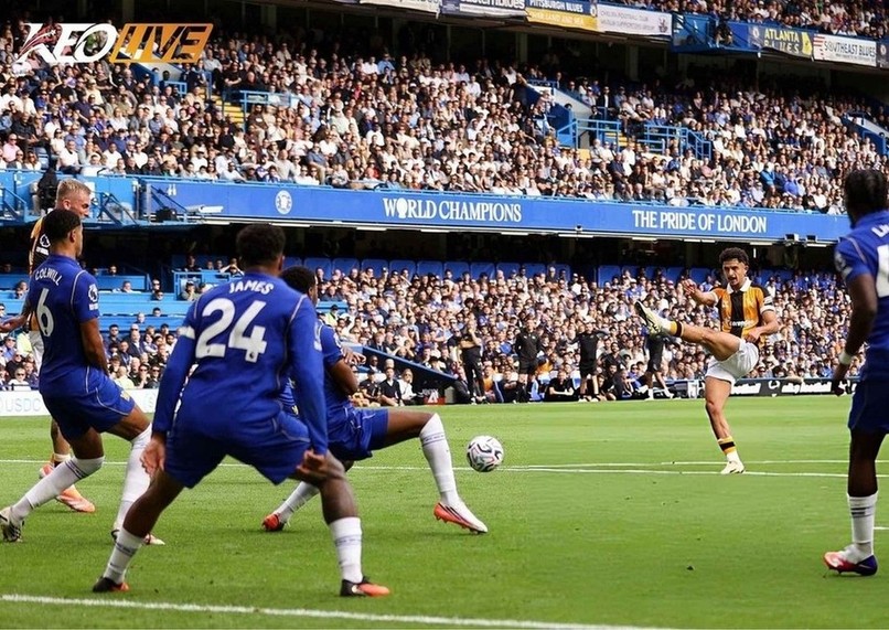 Hull City tiếp tục cho thấy mình không phải là đối thủ dễ bắt nạt | Keolive