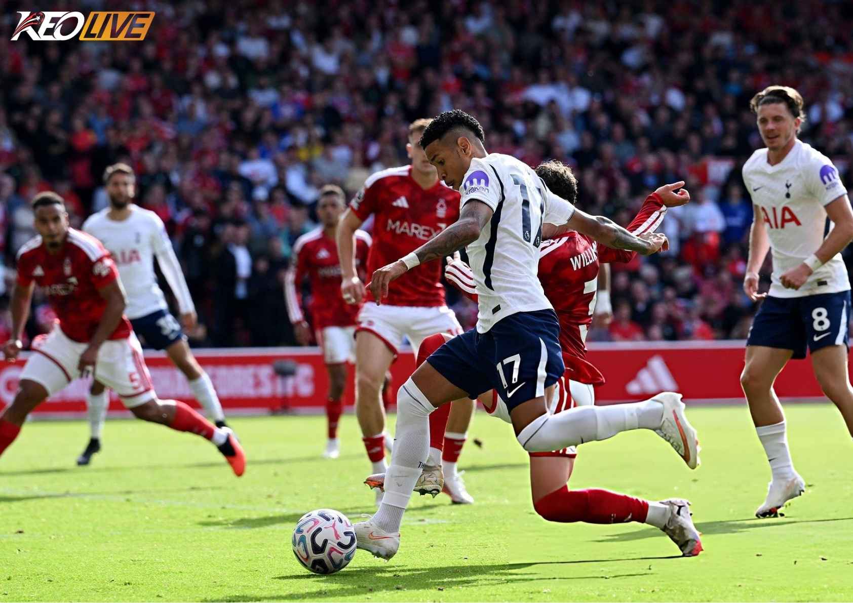 Hàng công của Tottenham tiếp tục tịt ngòi | Keolive