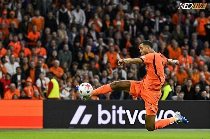 Hình ảnh minh họa cho bài viết Gakpo ghi bàn phút bù giờ, Klopp lỡ chiến thắng đầu tay cùng Đức