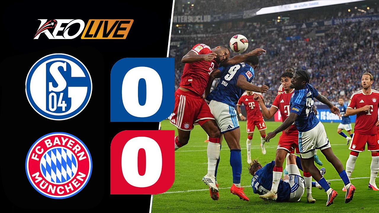 What A Fight! S04 Draw At Home | SCHALKE 04 - FC BAYERN | Highlights | Matchday 2 – Bundesliga 26/27