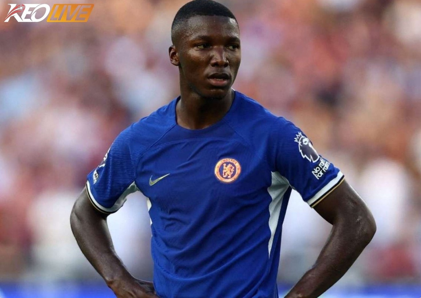 Moisés Caicedo tiếp tục là mắt xích quan trọng ở tuyến giữa Chelsea sau chấn thương | Keolive