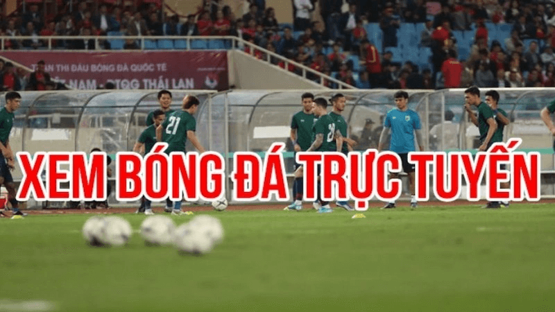 Mục tiêu phát triển trong tương lai của Keolive