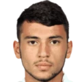 Z. Shaghoyan