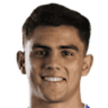 Andrés Meli