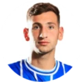 F. Ardiles