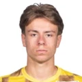 S. Van Dessel