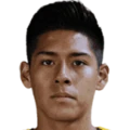 R. Vaca Ponce