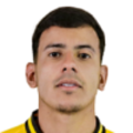 L. Gonçalves dos Santos