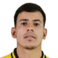 L. Gonçalves dos Santos