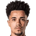 L. dos Santos