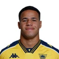 L. dos Santos Lopes da Silva