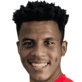 L. Lima da Silva