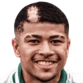 L. Vieira Pires