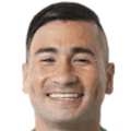 J. Meneses Villarroel