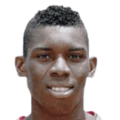 K. Brown Blackwood