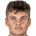 D. Višinský
