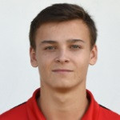 P. Sokol