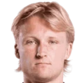 K. Dolberg