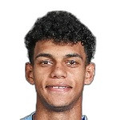 Mahmoud El Shenawy