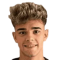 V. Valverde da Silva