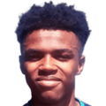 Bryce Hosannah
