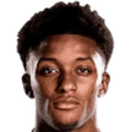 D. Gray