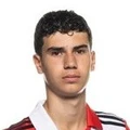 S. van Persie